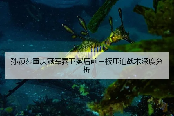 孙颖莎重庆冠军赛卫冕后前三板压迫战术深度分析